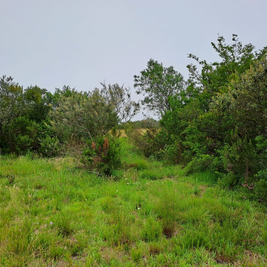 0 Bedroom Property for Sale in Schoongezicht Western Cape